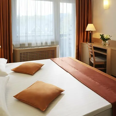 Garni Savica - Sava & 4*