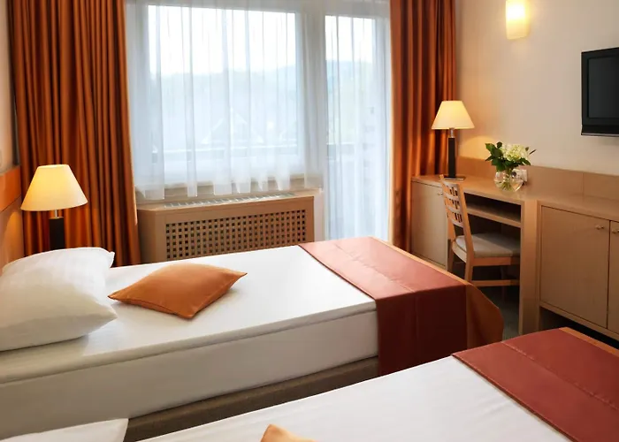 Garni Savica - Sava & 4*